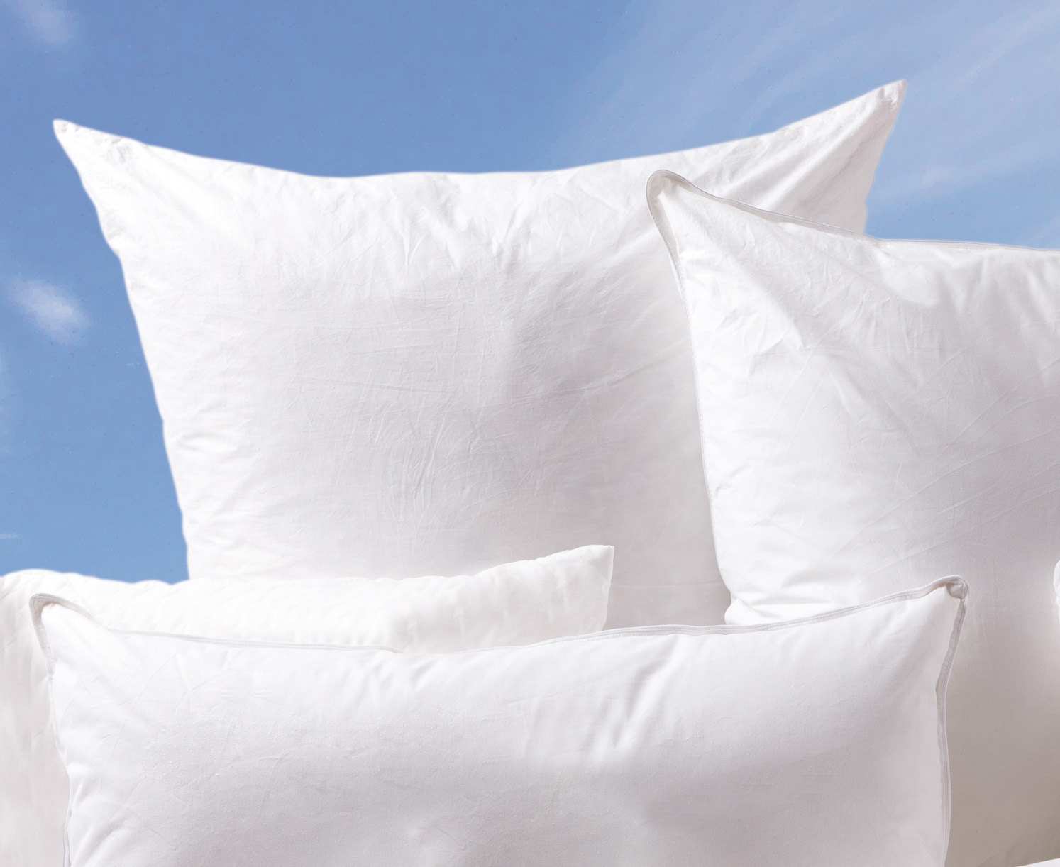 Kopfkissen mit Daunen 80x80 cm Kopfkissen mit Daunen 80x80 cm